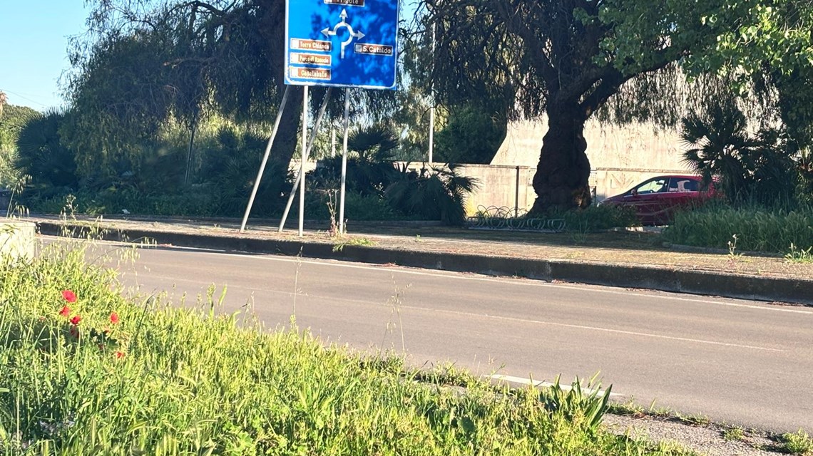 Foto 13